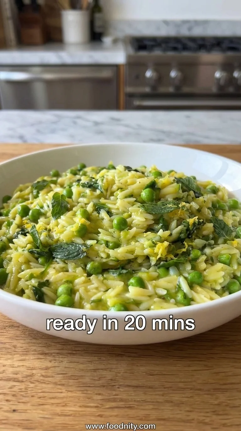 Lemon Orzo – Easy One-Pot Pasta